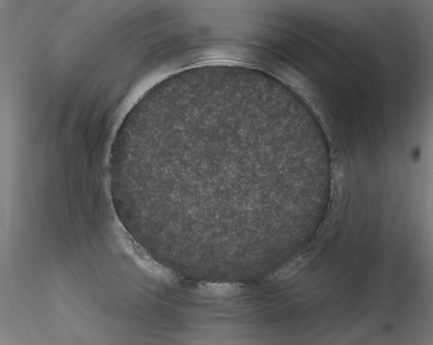 X0000114521427200911301106