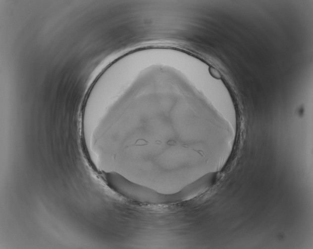 X0000114521428200911301106