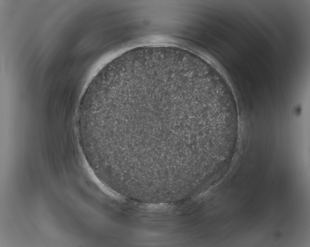 X0000114521429200911301106