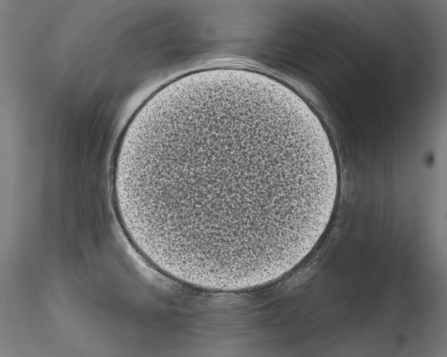 X0000114521430200911301106