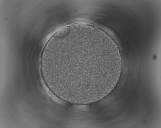 X0000114521431200911301106