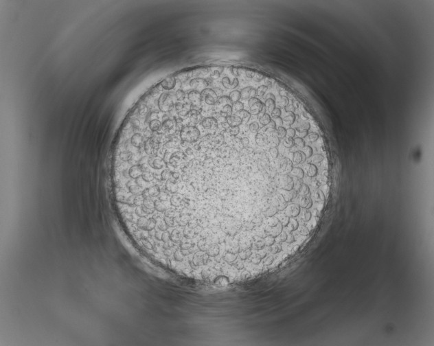 X0000114521432200911301106