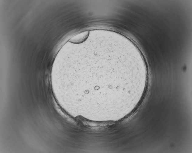 X0000114521433200911301106