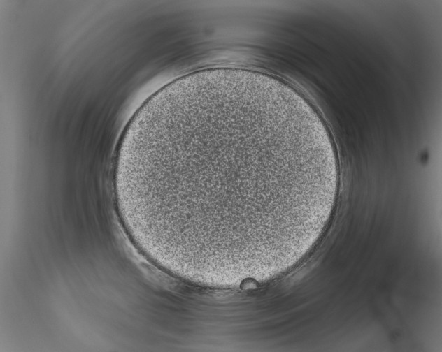 X0000114521434200911301106