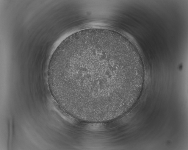 X0000114521435200911301106