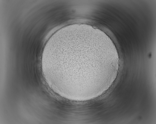 X0000114521436200911301106