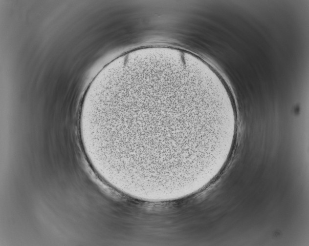 X0000114521437200911301106