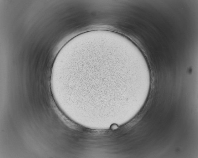 X0000114521438200911301106