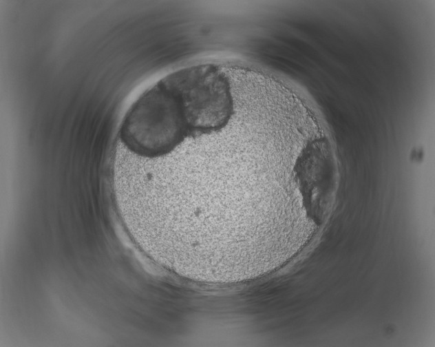 X0000114521440200911301106