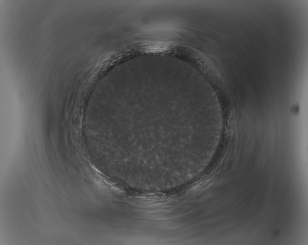 X0000114521441200911301105