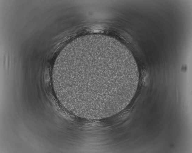 X0000114521442200911301105