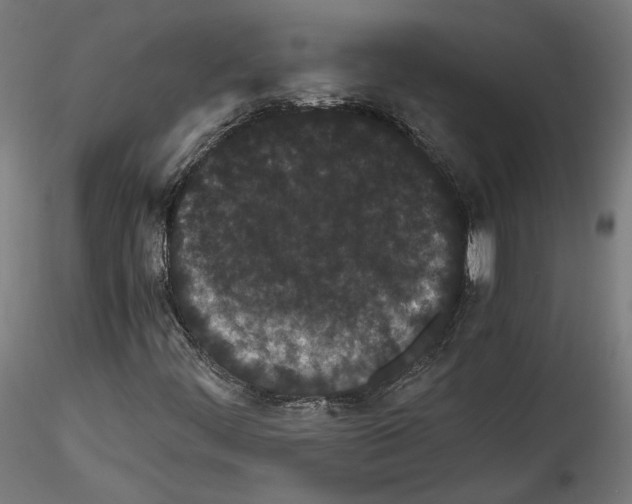 X0000114521444200911301105