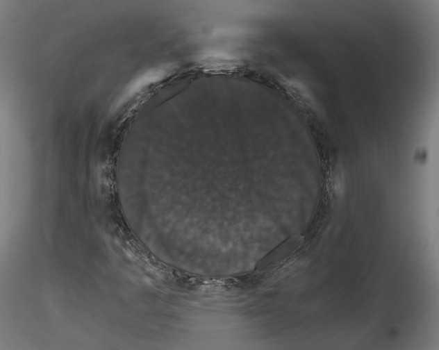 X0000114521445200911301105