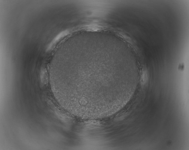 X0000114521446200911301105