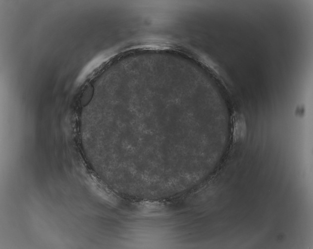 X0000114521448200911301105