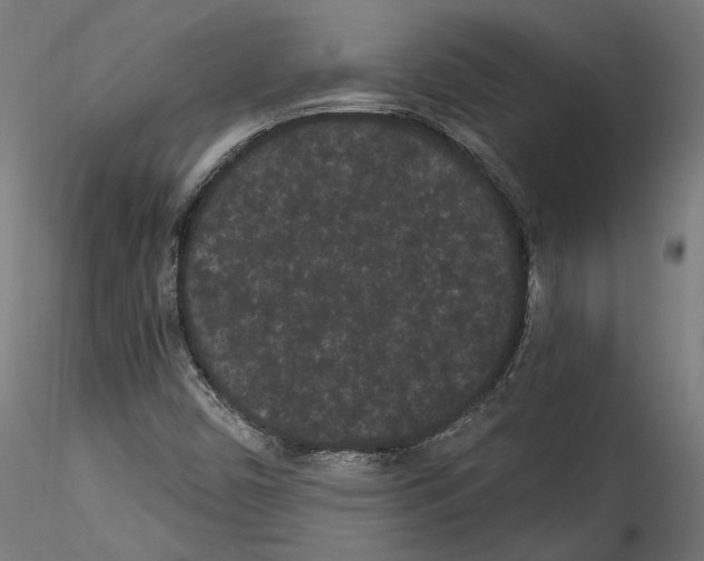 X0000114521450200911301105