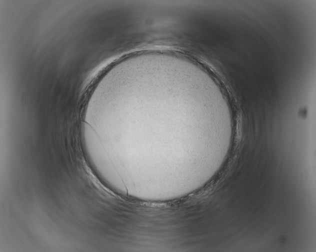 X0000114521452200911301105