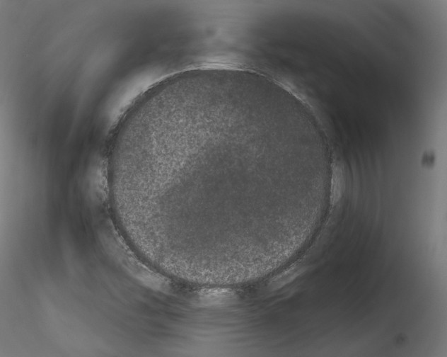 X0000114521454200911301105