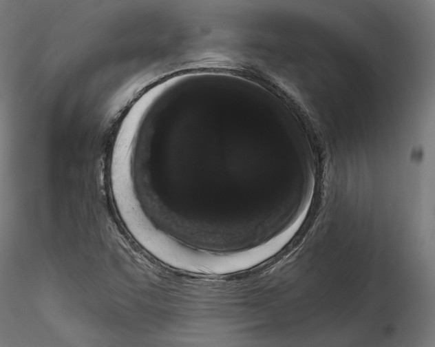 X0000114521455200911301105