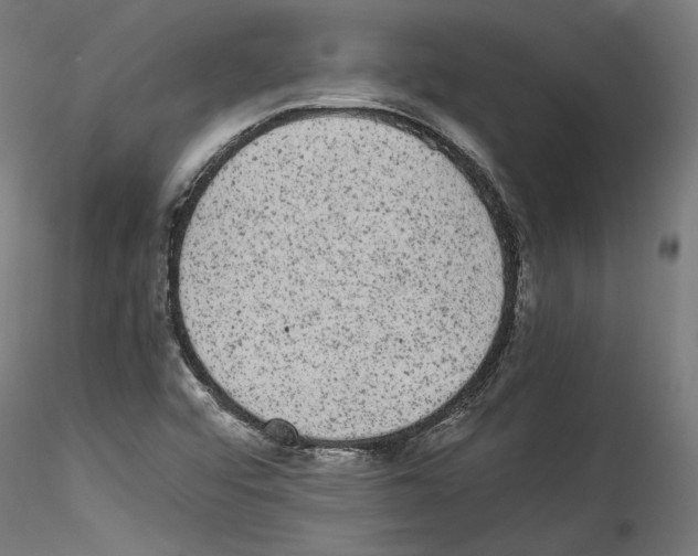 X0000114521456200911301105