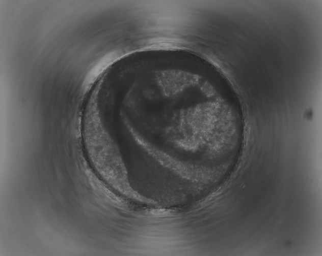 X0000114521459200911301105