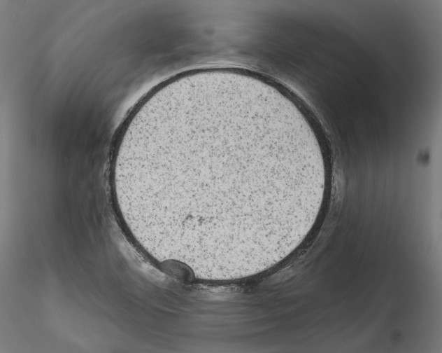 X0000114521460200911301105