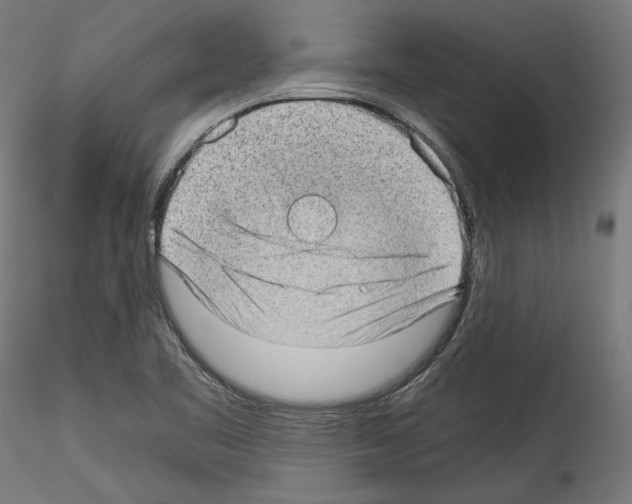 X0000114521461200911301105