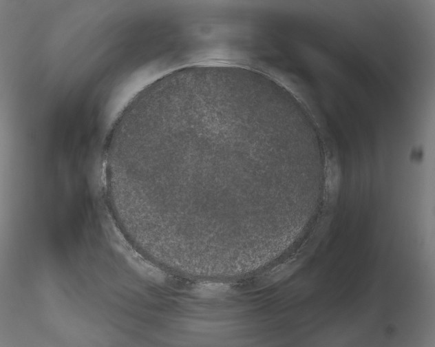 X0000114521462200911301105