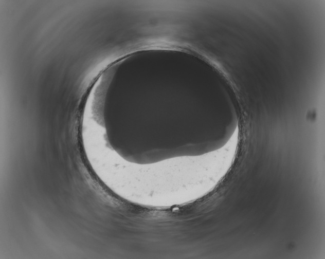 X0000114521463200911301105