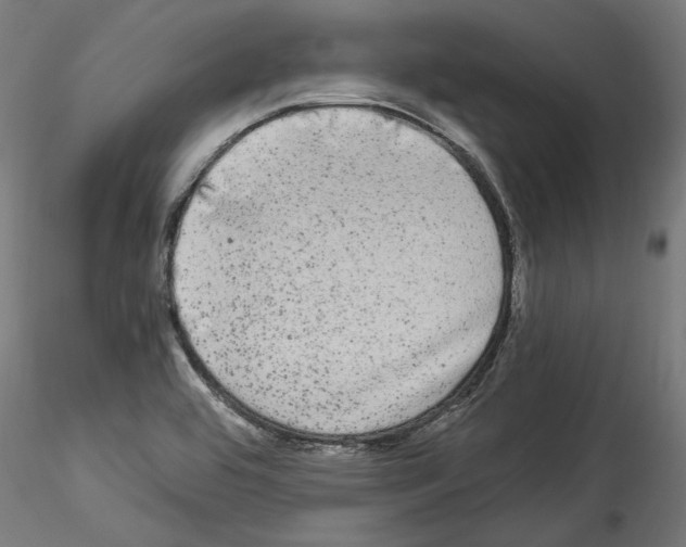 X0000114521464200911301105