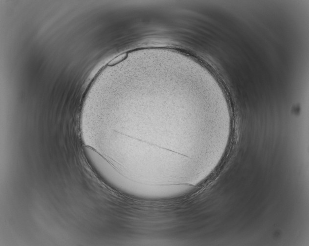 X0000114521465200911301105