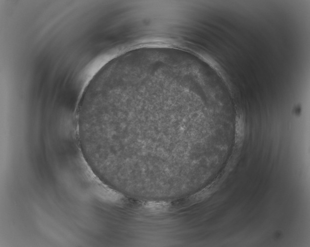 X0000114521466200911301105