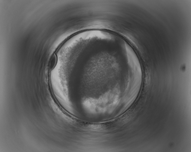 X0000114521468200911301105