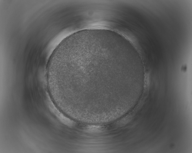 X0000114521470200911301105