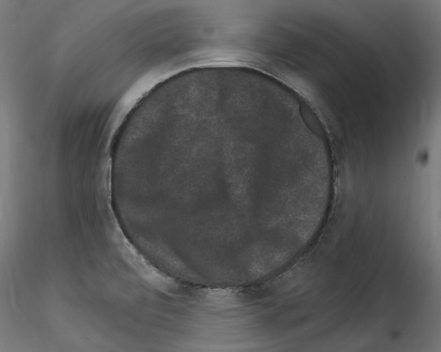 X0000114521472200911301105