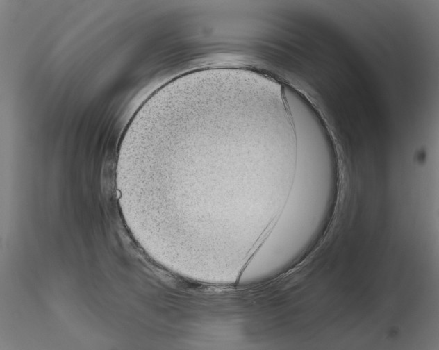 X0000114521473200911301105