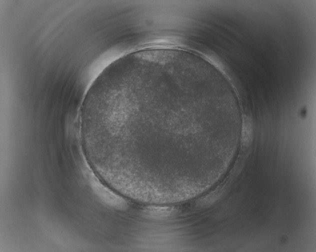 X0000114521474200911301105