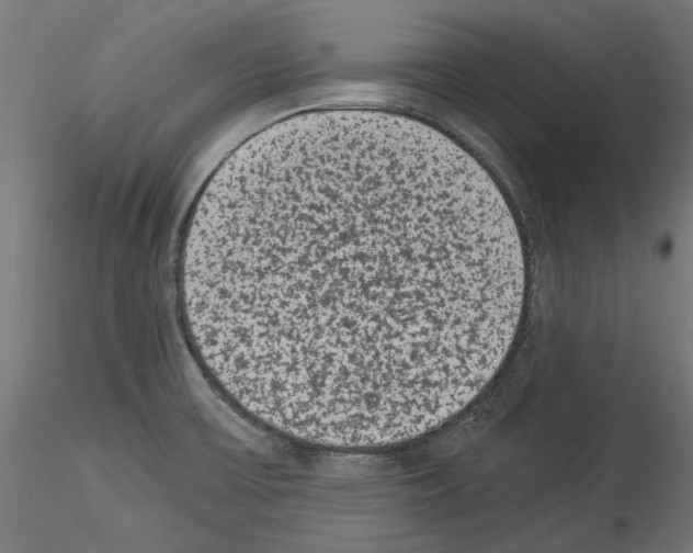 X0000114521475200911301105