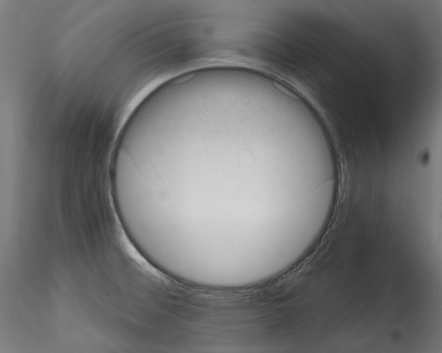 X0000114521476200911301105