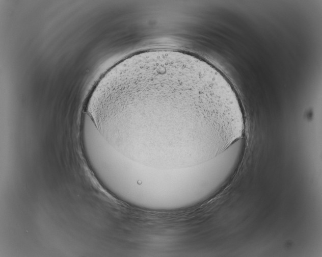 X0000114521477200911301105