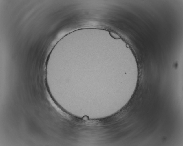 X0000114521479200911301105