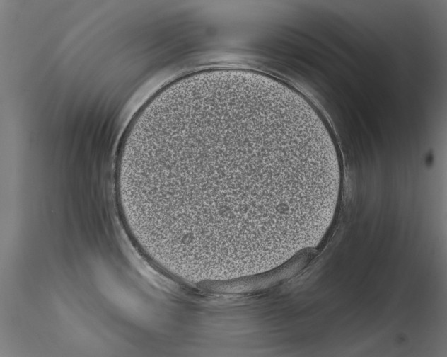 X0000114521482200911301105