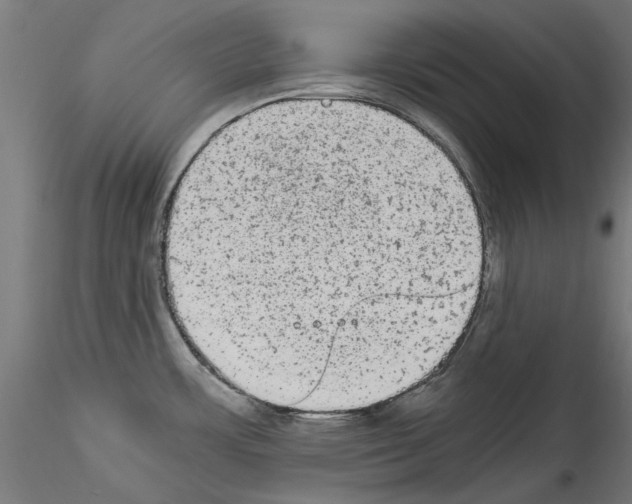 X0000114521483200911301105