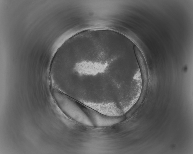 X0000114521485200911301105