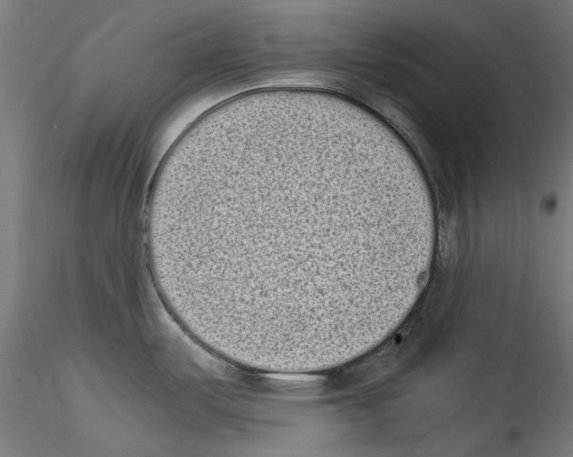 X0000114521487200911301105