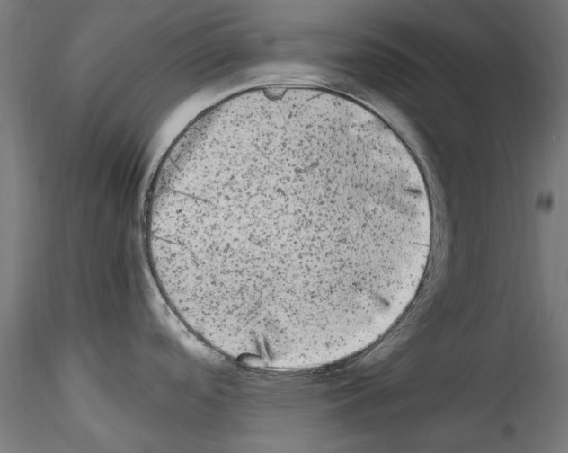 X0000114521488200911301105