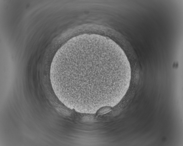 X0000114521489200911301104