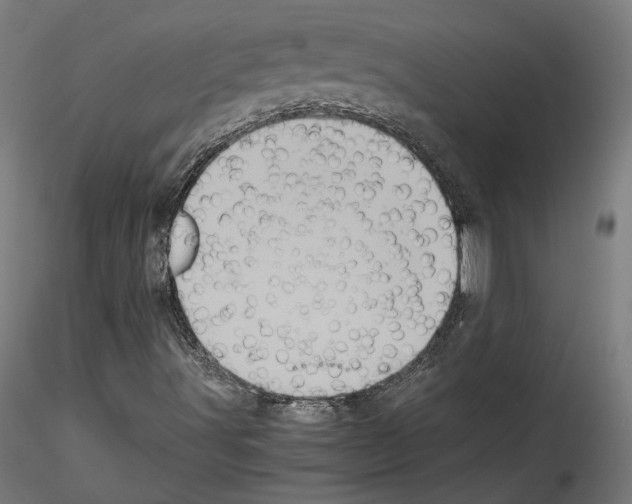 X0000114521491200911301104