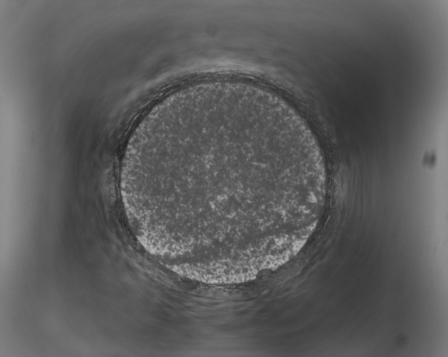 X0000114521493200911301104