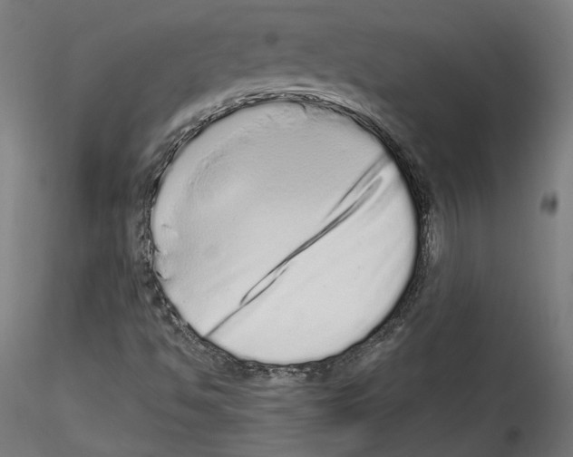 X0000114521494200911301104